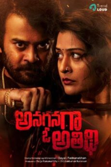 Anaganaga O Athidhi
