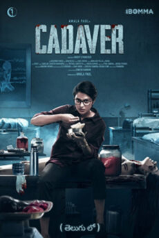 Cadaver