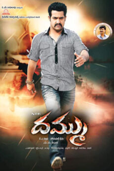 Dhammu