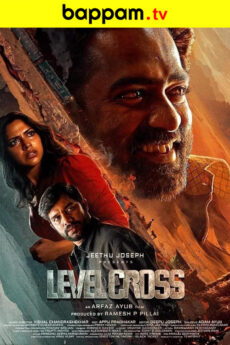 Level Cross