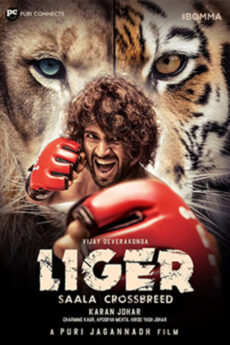 Liger