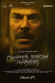 Nanpakal Nerathu Mayakkam