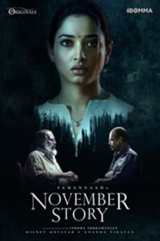 November Story