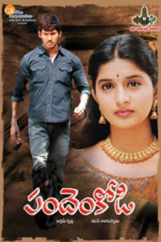 Pandem Kodi