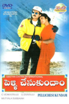 Pelli Chesukundam