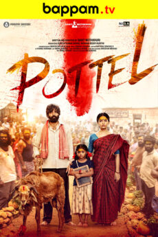 Pottel
