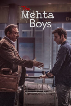 The Mehta Boys